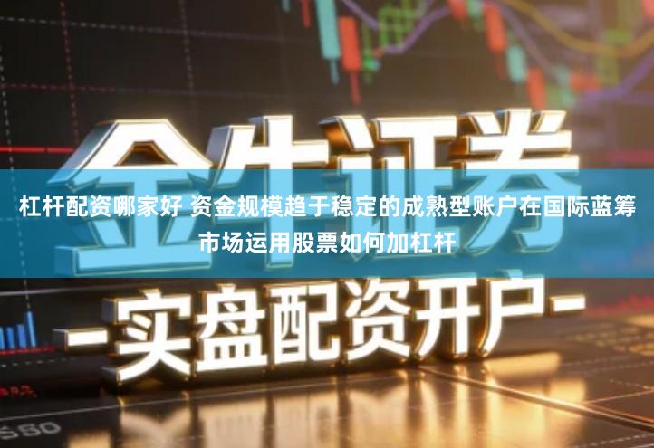 杠杆配资哪家好 资金规模趋于稳定的成熟型账户在国际蓝筹市场运用股票如何加杠杆